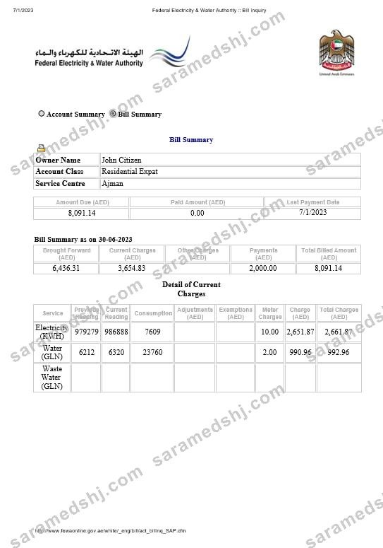 UAE Dubai Federal Electricity & Water Authority electricity, water utility bill Word and PDF formats